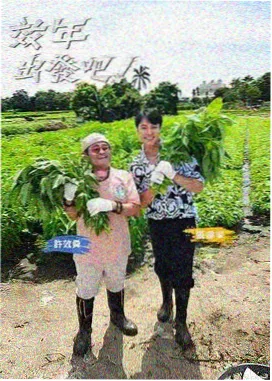 周六厨房实验室综艺招牌图